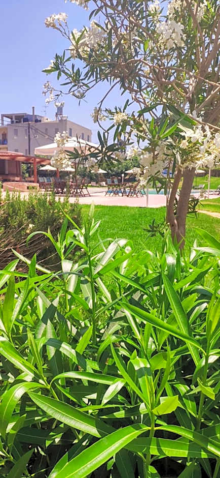 Hotel Peli