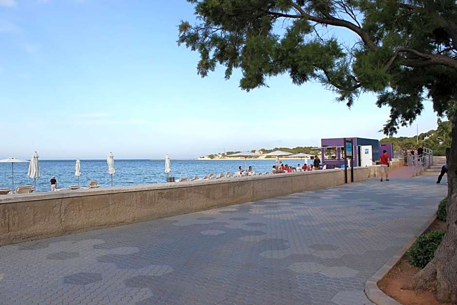 150 Tropicana Park - Deniasol