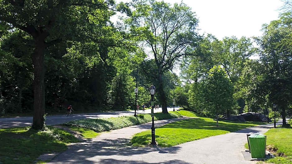 The Central Park North