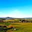B&B Il Poggio di Fiore