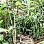 Orchid House Tulum Jungle