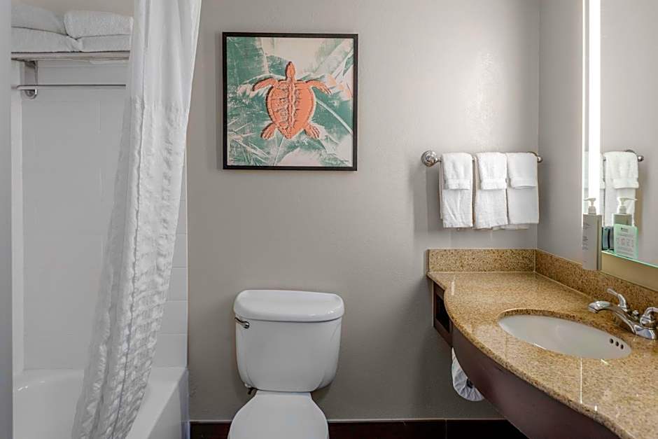 Hilton Garden Inn Sarasota-Bradenton Airport