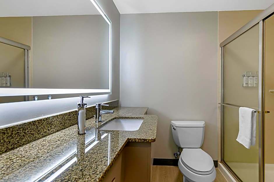 Holiday Inn Express Hotel & Suites Clemson - University Area By IHG