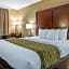 Comfort Inn & Suites Pittsburgh