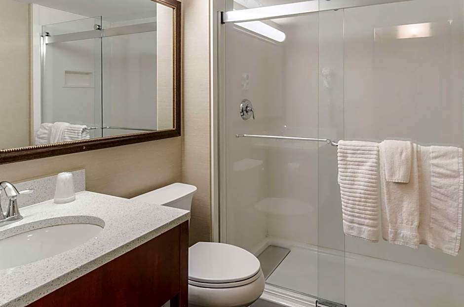 Comfort Inn & Suites West Springfield