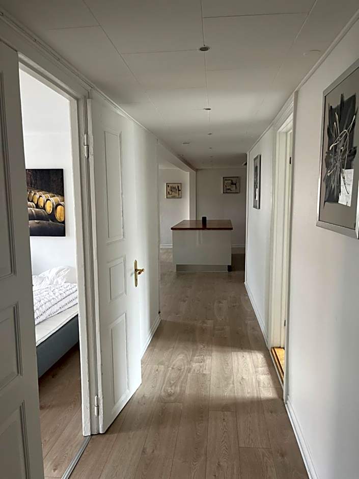 Niollo Hotels