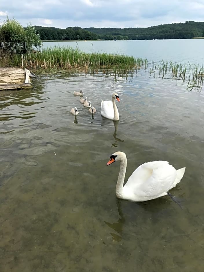 Kaszubskie Apartamenty nad jeziorem