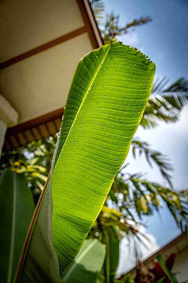 Family Hotel Gradia 1