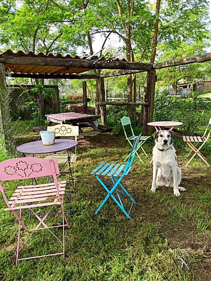 Mas Del Llop Blanc - Dog friendly Hostal Rural - B&B