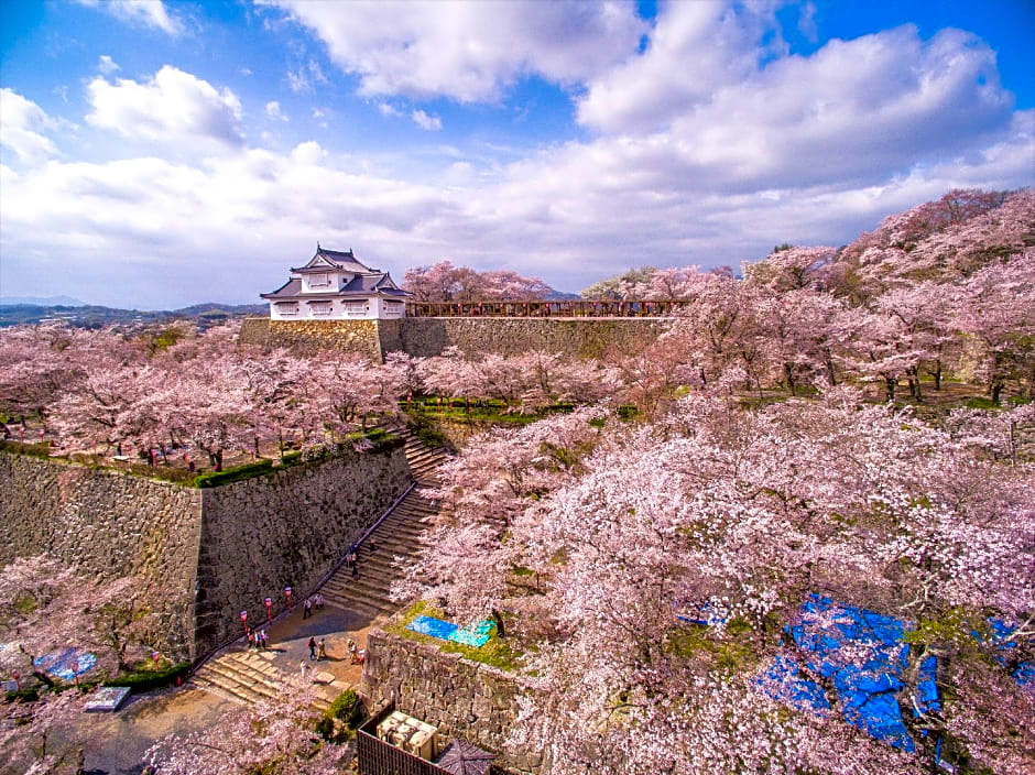 Daiwa Roynet Hotel Okayama-Ekimae