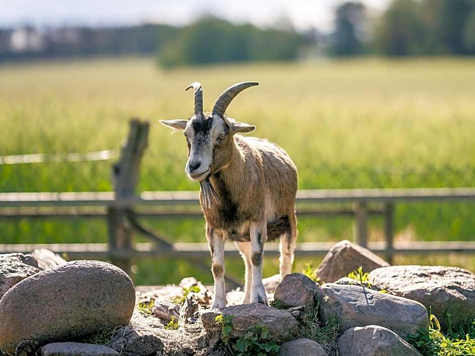 Landhaus Alte Schmiede