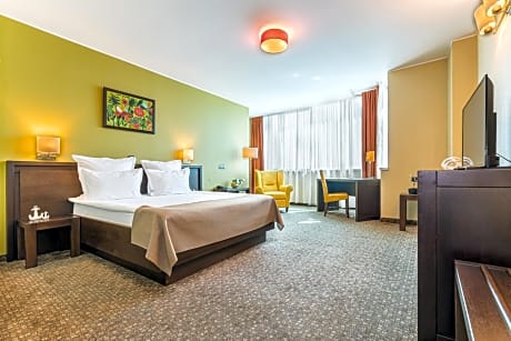 Deluxe Double Room with Danube View