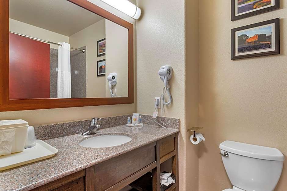 Comfort Inn & Suites Navasota