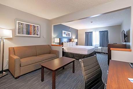 1 King Bed Deluxe Room Non-Smoking