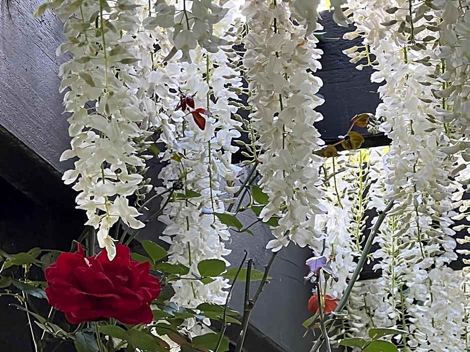 Treghan Luxury Lodge