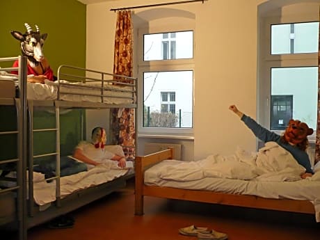 Bed in 5-Bed Mixed Dormitory Room
