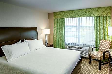 1 King Bed