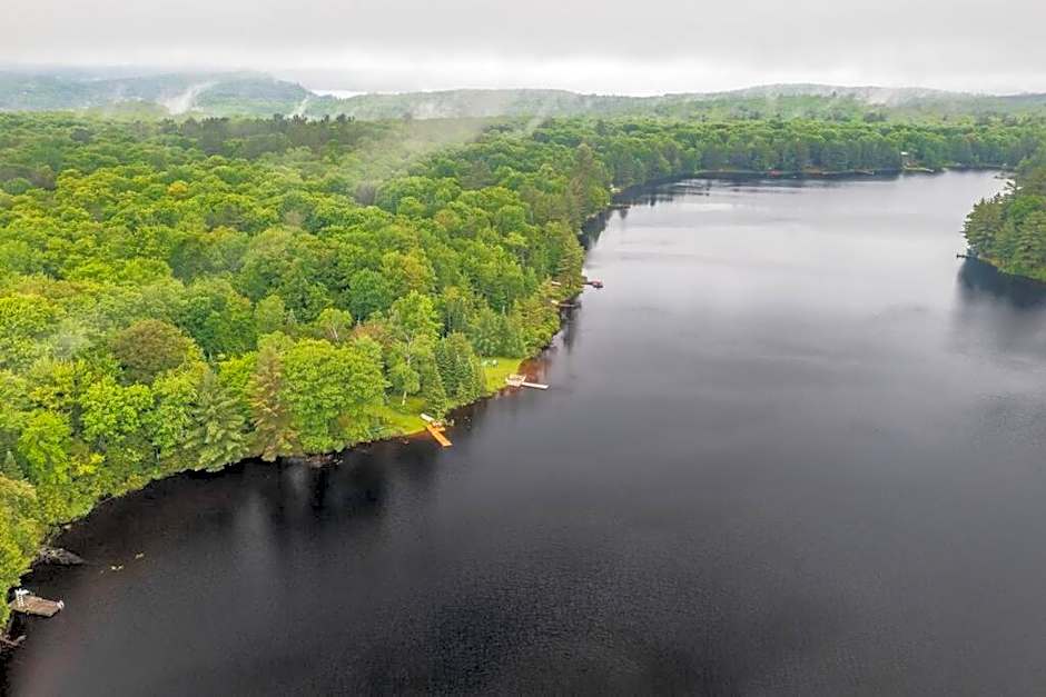 Bear Essentials Hideaway