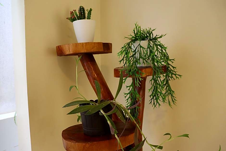 Pousada Da Serra Bananeiras