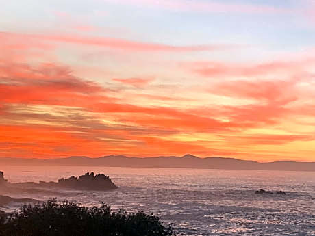 Boutique Ocean Views