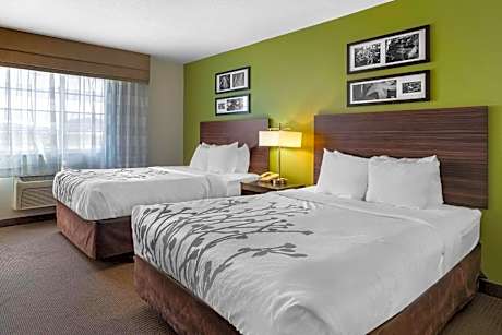 Queen Suite with Two Queen Beds and Sofa Bed - Non-Smoking