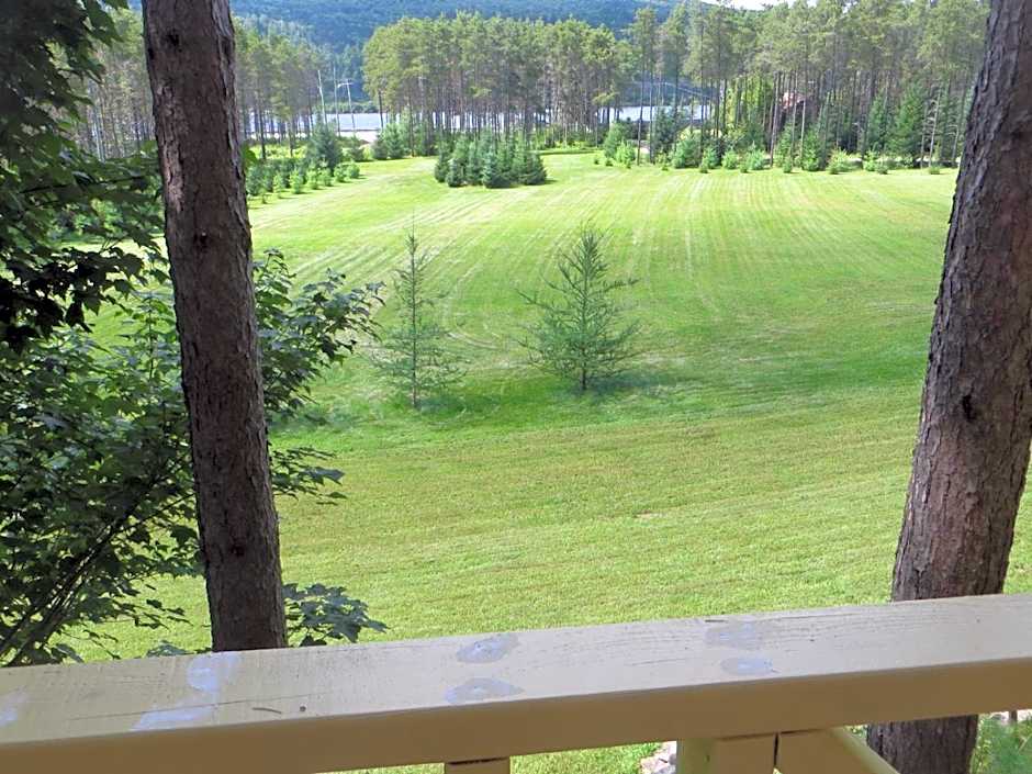 La maison sous les arbres