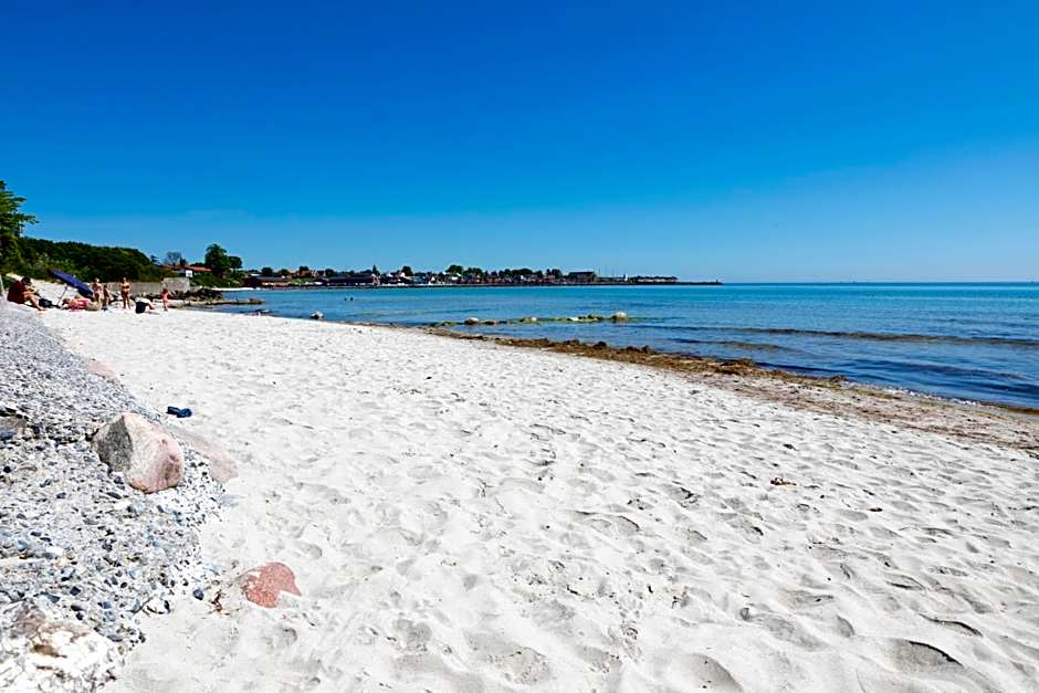 Kridthuset Stevns Klint