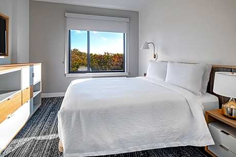 1 Bedroom Suite, 1 Queen, Sofa bed