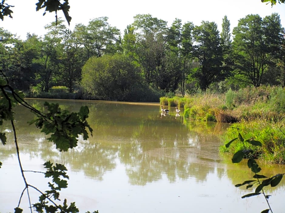 Espace Nature Studio indépendant proche du Parc des oiseaux