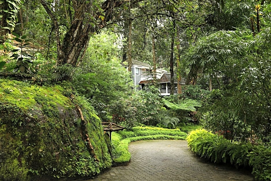The Tall Trees Munnar