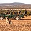 Mabula Game Lodge
