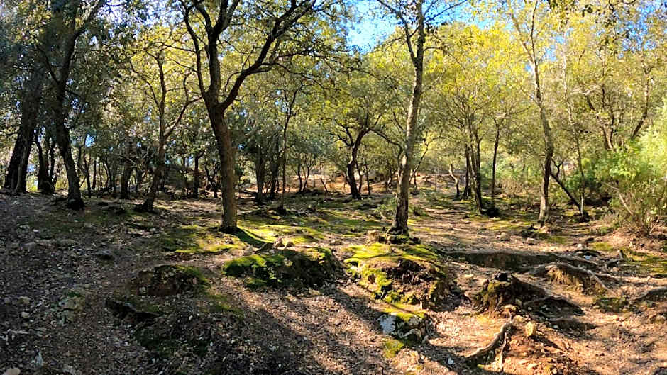 El Nido de Alaro - Turismo de Interior