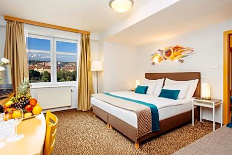 Standard Double or Twin Room with Wellness Access