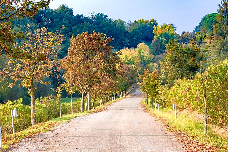 Ca Palazzo Malvasia - BolognaRooms