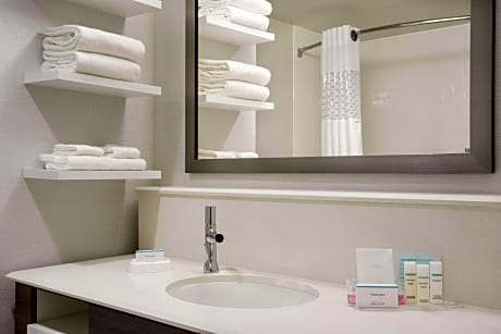 1 King Microwv/Fridge/Wet Bar Studio Suite Ns