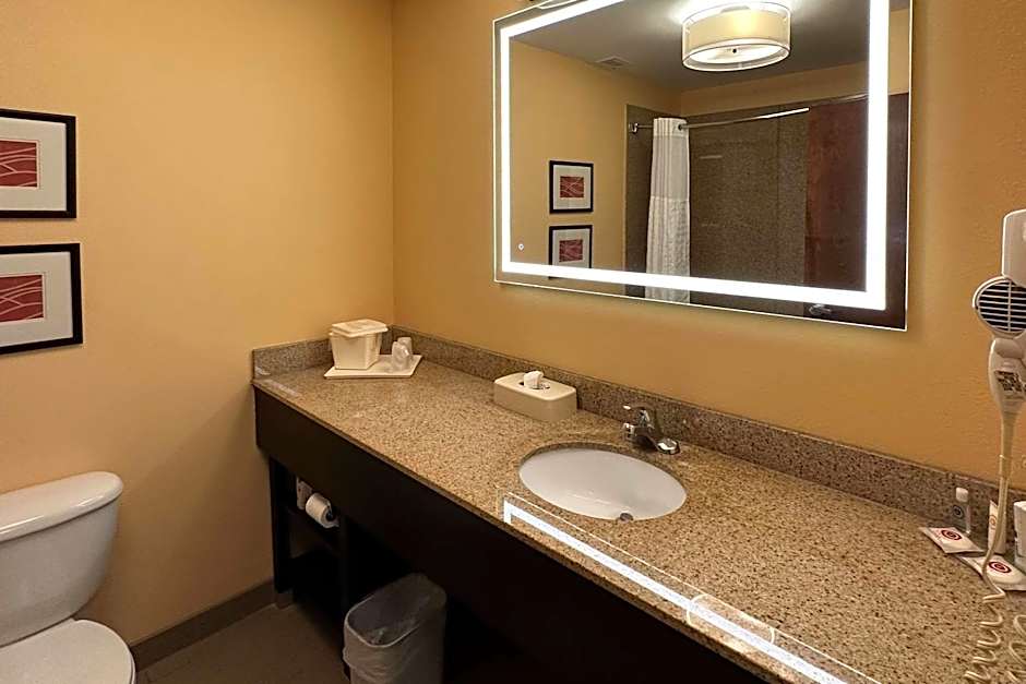 Comfort Inn & Suites Rogersville