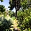 Pietrantica - Affittacamere con giardino NUOVA APERTURA a Trebiano -CITR