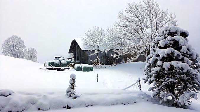 Snow+Surf B&B