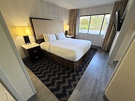 Suite-1 King Bed, Non-Smoking, 2 Flat Screen Tvs, Microwave And Mini-Refrigerator, Full Breakfast