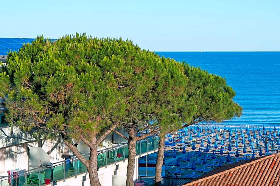 Hotel Ragno