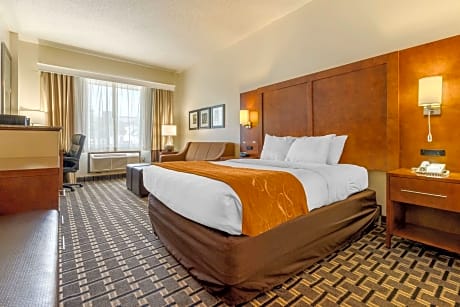 1 Queen Bed, Efficiency, Suite, Nonsmoking, Accessible