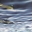 West Sands Ukulhas