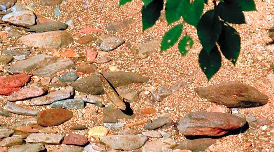 Oirase Guest house KEIGETSU