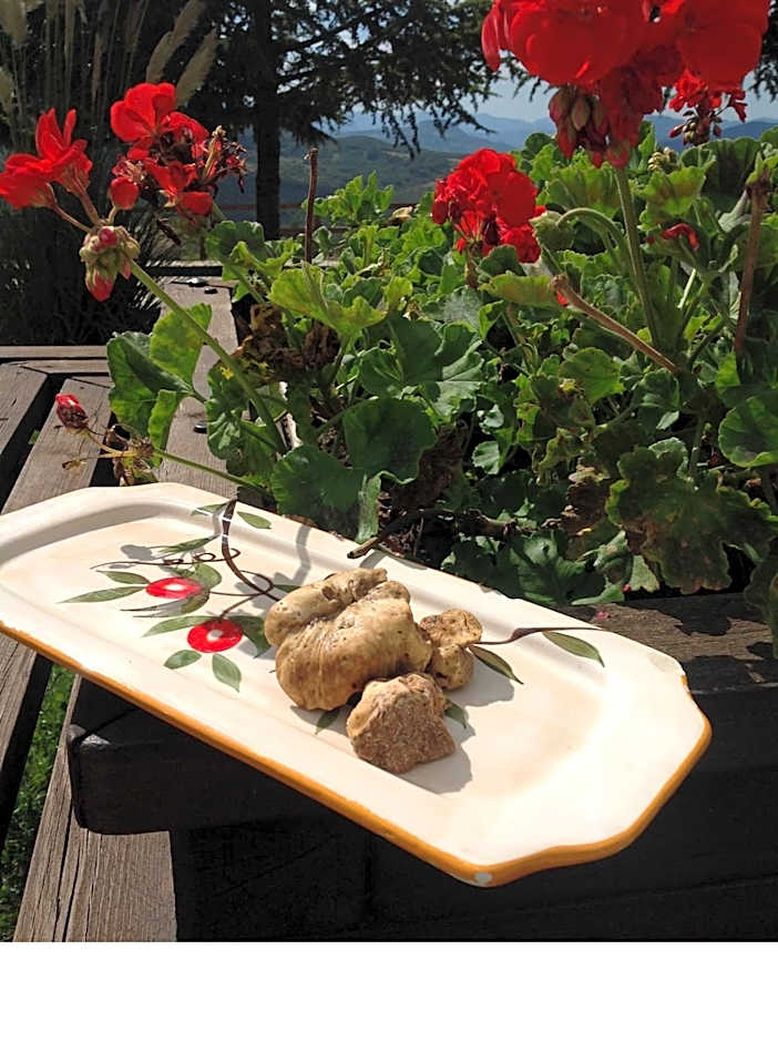 Masseria Monte Pizzi