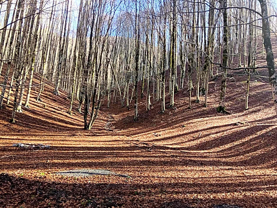 Villa Aurea Rooms & More