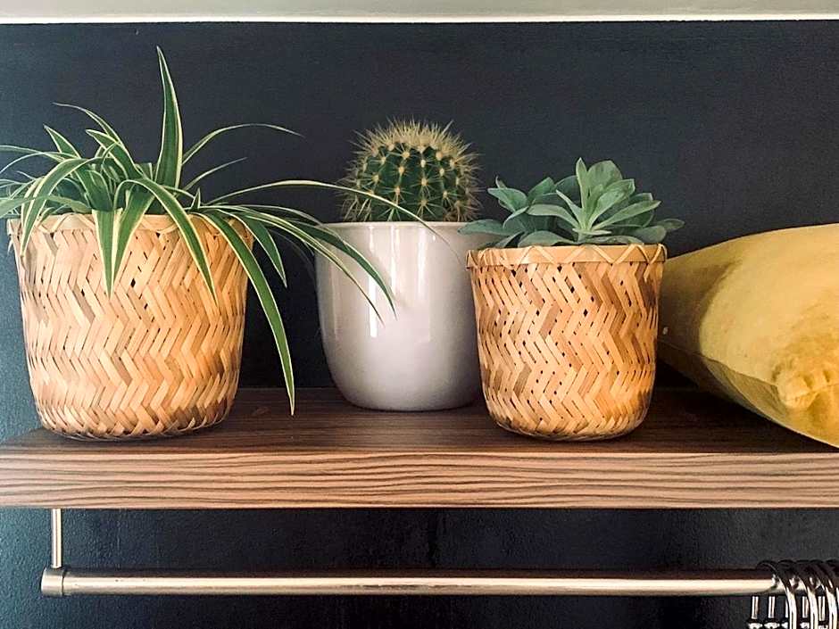 Hotel Au Nom De Dieu