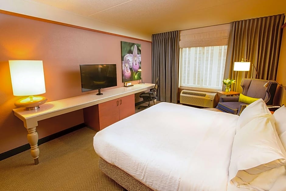 Hilton Garden Inn Rochester Downtown