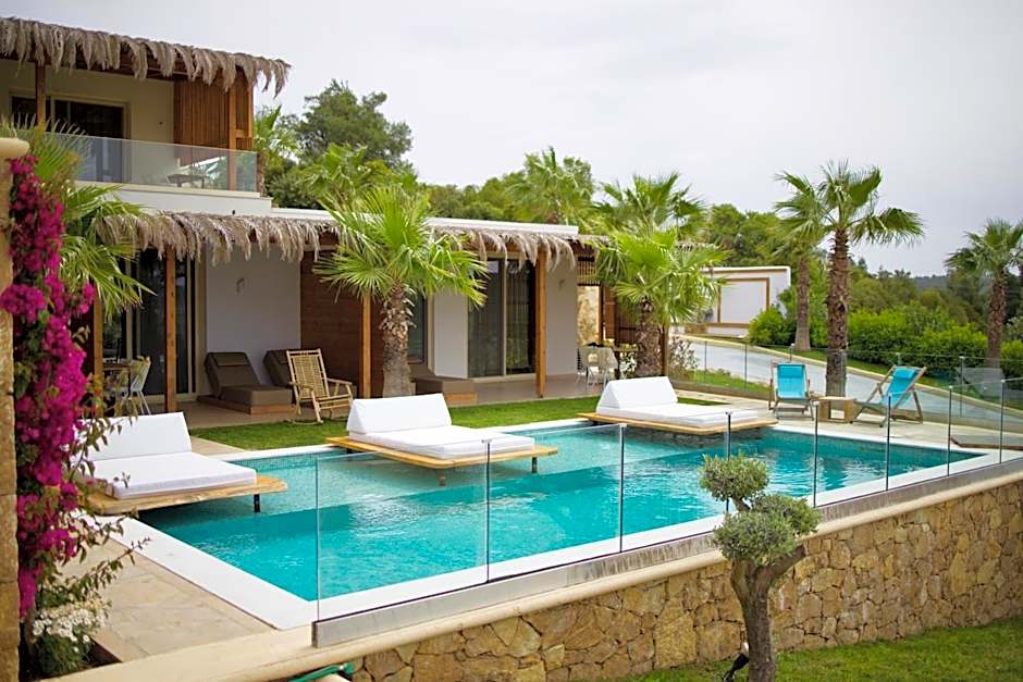 SANIMAR By Mono Alex