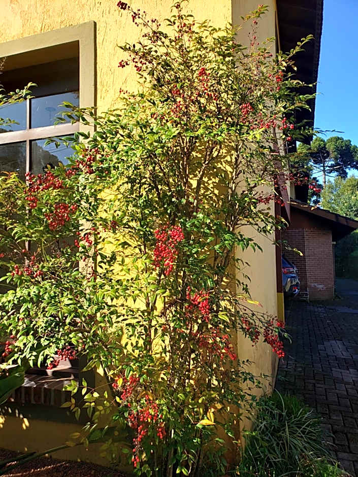 Apartamento Flor de Canela