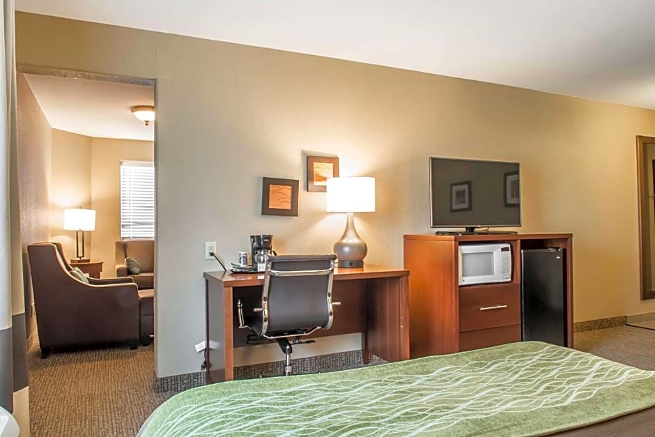 Comfort Inn Edinburg South